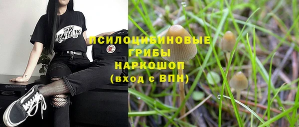 гашик Киренск