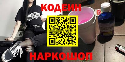 индика Гусь-Хрустальный