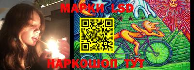 индика Гусь-Хрустальный