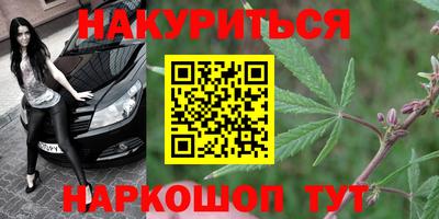 индика Гусь-Хрустальный