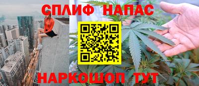 индика Гусь-Хрустальный