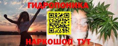 индика Гусь-Хрустальный