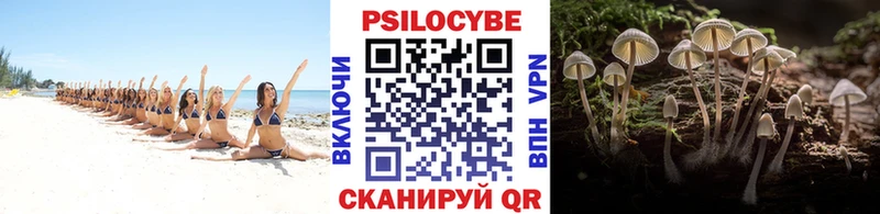 Галлюциногенные грибы Psilocybine cubensis  Кизляр 