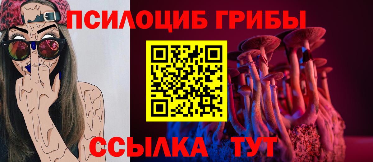 ГАШ Кизляр