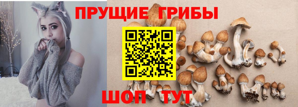 Кизляр  Галлюциногенные грибы Psilocybine cubensis  купить наркотики сайты  Вход с VPN 